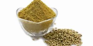 Coriander