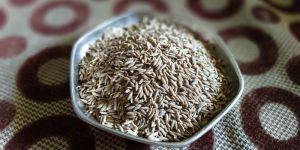Cumin Seed
