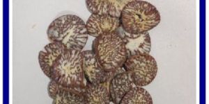 MOTI SOPARI BETEL NUTS ARECANUTS