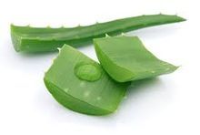 Aloe Vera Pulp