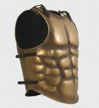 Muscle Armour