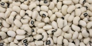Black Eyed Beans