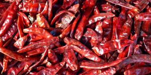 Dried Red Chilli