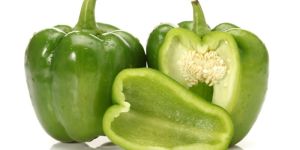 Fresh Green Capsicum