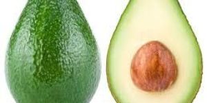 Fresh Avocado