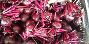 Fresh Beetroot