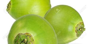 Green Coconut