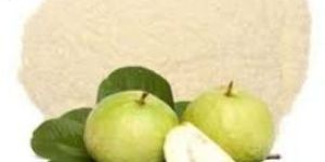 Guava Powder (Spray Dried)