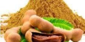 Tamarind Powder (Spray Dried )