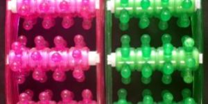 Acupressure Plastic Foot Roller