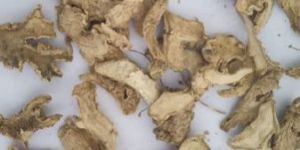 Organic Ginger Slices