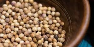 Brown Coriander Seeds