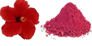 Dried Hibiscus Flower