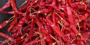Dry Red Chilli