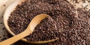 Flax Seeds
