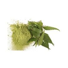 Neem Extract Powder