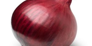 Fresh Red Onion