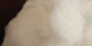 Bleached Cotton for Surgical Industry