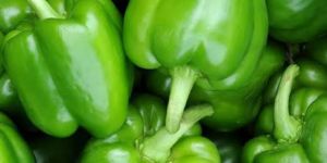 Green Capsicum