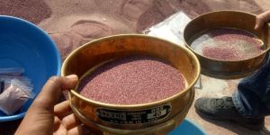 Garnet Abrasive
