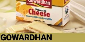 Gowardhan Processed Cheese
