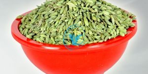 Fennel Seeds