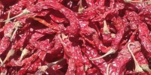 Indian Dried Red Chillies Byadgi 668