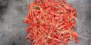 Indian Dried Red Chillies Sannam 334