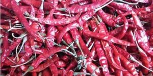 Indian Dried Red Chillies Teja S16