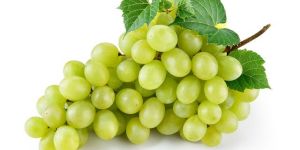 Fresh Grapes