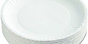 White Paper Plate