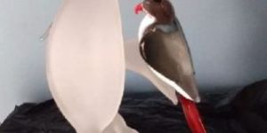 Handcrafted Glass Bird Statue