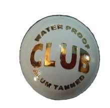 Club White Cricket Ball