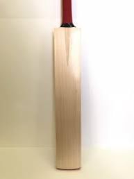Woodoo English Willow Cricket Bat