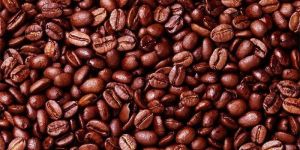 Roasted Robusta Coffee Beans