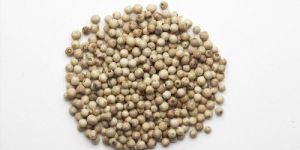 Natural White Pepper Seeds