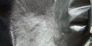 Local Black Finsh Leather Goat