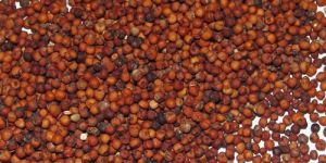 Natural Ragi Seeds