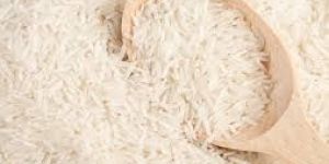 Organic Basmati Rice