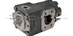 Double Vane Pump