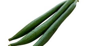 Sponge Gourd