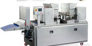 Fully Automatic Biscuit Making Plant