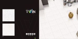 Twin Charged Vitrified Tiles