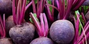 Fresh Beetroot