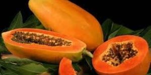 Fresh Papaya
