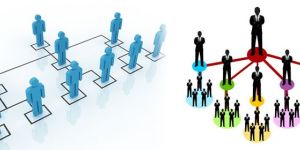 Multi Level Marketing Software