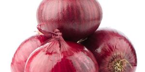 Fresh Red Onion