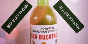 SEABUCKTHORN HIMALAYAN BERRY (500 ML)