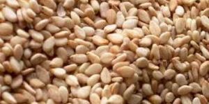Dried Sesame Seeds