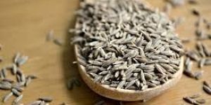 Cumin Seeds